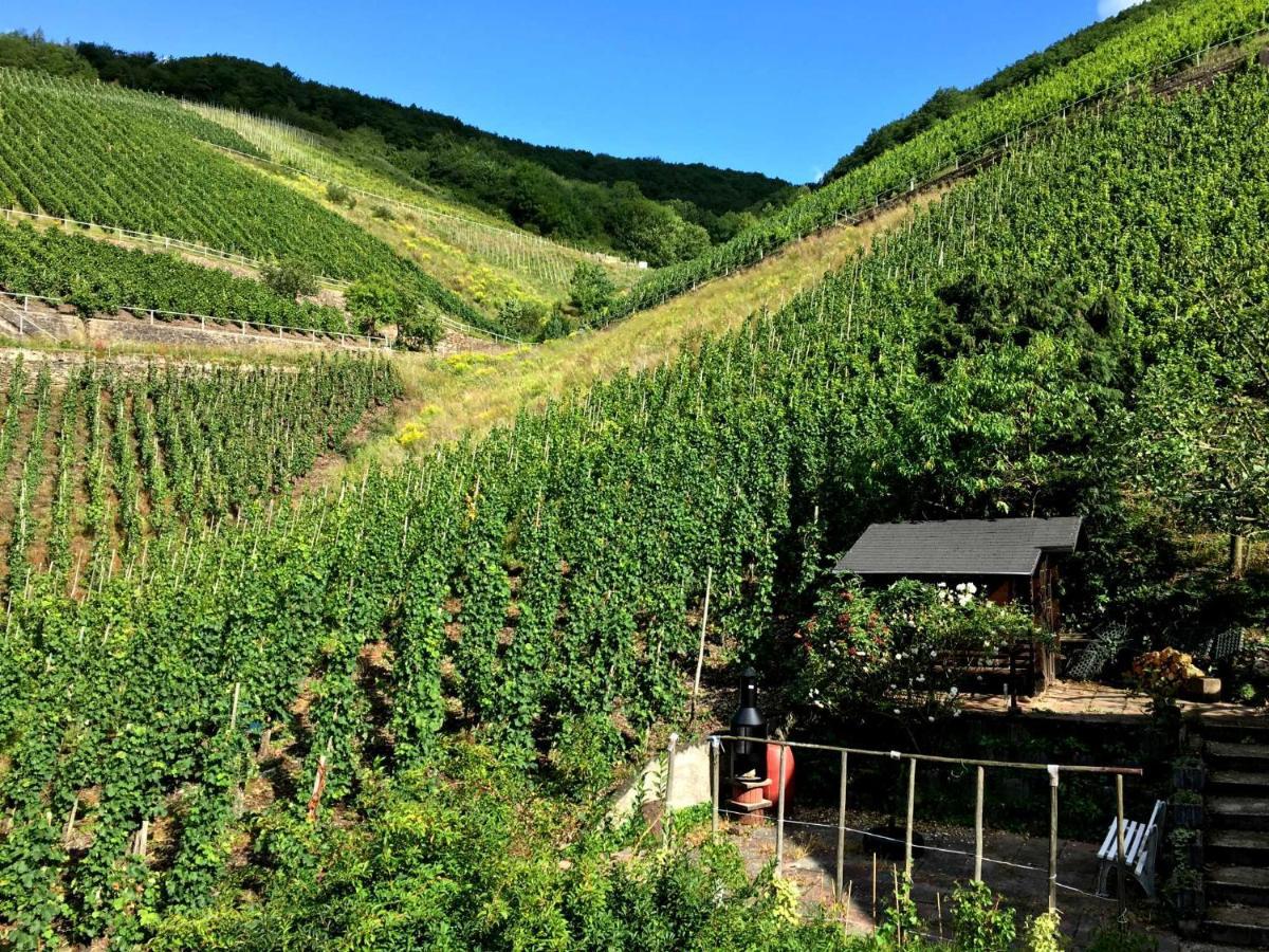 Ferienwohnungen Merl Целль-ан-дер-Мозель Экстерьер фото