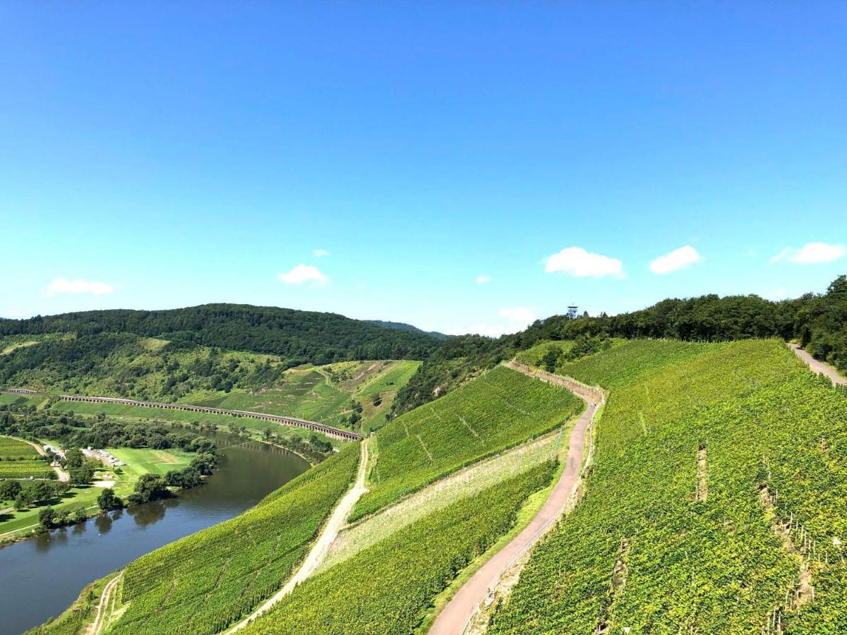 Ferienwohnungen Merl Целль-ан-дер-Мозель Экстерьер фото